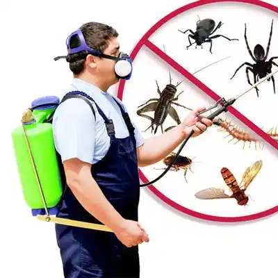 pest control Bloomingburg